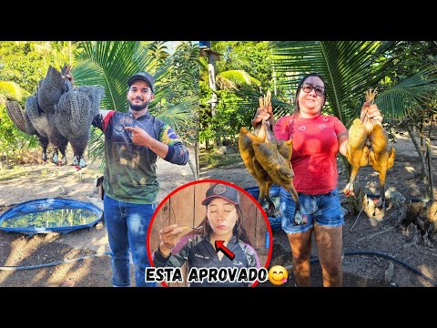 ABATEMOS 5 GALINHAS DE ANGOLA, FIZEMOS UM ALMOÇO TOP E @amandaataide18 APROVOU
