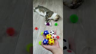 Cat Barsik Beads 💜🌈 Satisfying Reverse Video ASMR
