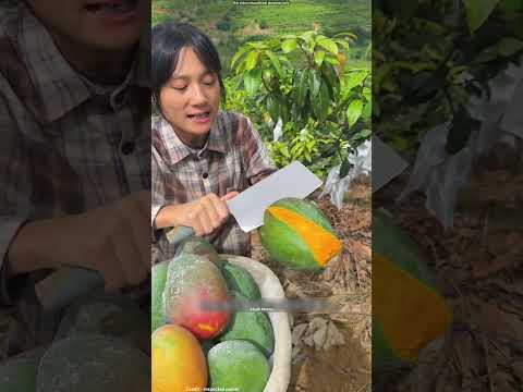 Unbelievable testy mango in Japan 🤯#shorts
