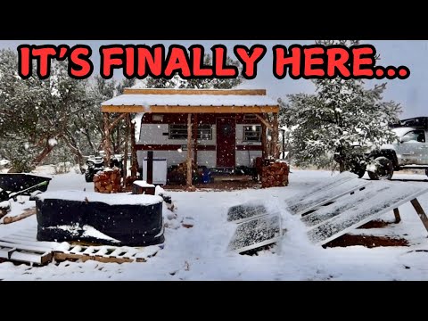 SNOW At My Northern AZ Off-Grid Homestead & Conversations w/ Meadow