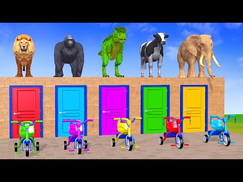 Long Slide Game With Cow Elephant Gorilla Hippopotamus Tiger - 3d Animal Game - Funny 3d Animals