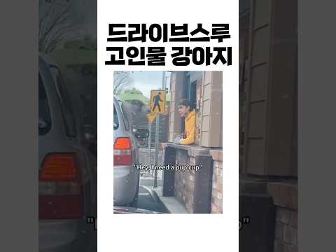 내 몫은 내가 챙긴다! #funny #개그 #예능 #웃긴영상 #웃긴짤 #유머 #강아지