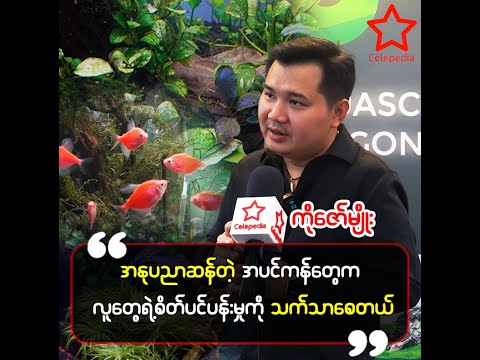 အပင်ကန်ဆိုတာ သဘာဝအလှတရားတွေကို ဘောင်သွင်းပြီးကြည့်လို့ရအောင်ဖန်တီးထားတာပါ
