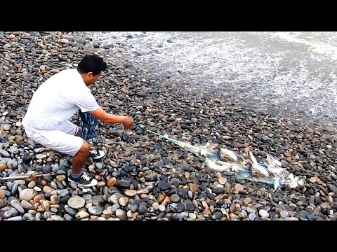 El mar embravecido les tenía una gran sorpresa… mira cómo saca su red llena de pescados