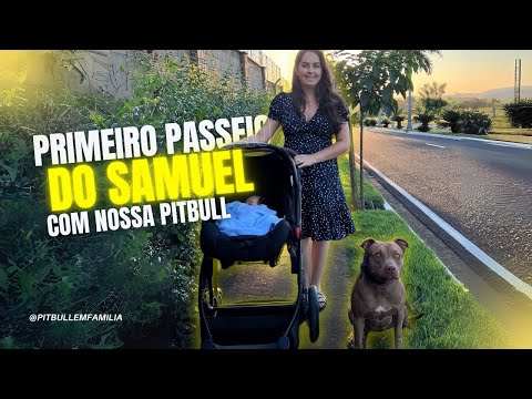 PASSEIO COM NOSSO RECÉM NASCIDO E NOSSA PITBULL JADE 🐶❤️ #youtube