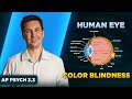 Exploring the Human Eye and Color Blindness