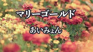 【カラオケ】マリーゴールド - あいみょん【オフボーカル】