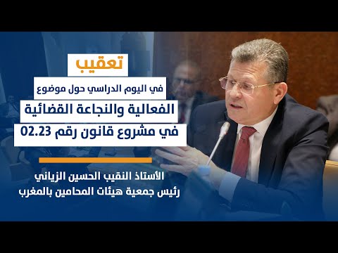 تعقيب ذ الحسين الزياني/ الفعالية والنجاعة القضائية في مشروع قانون رقم 02.23 يتعلق بالمسطرة المدنية