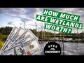 Ecosystem Services and the Importance of Wetlands