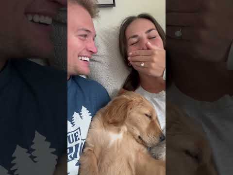 Cash had to dream to find his first bark