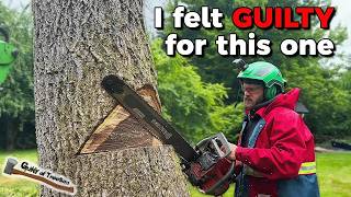 I felt a LITTLE GUILTY cutting this nice tree down! Black Walnut Removal Job!