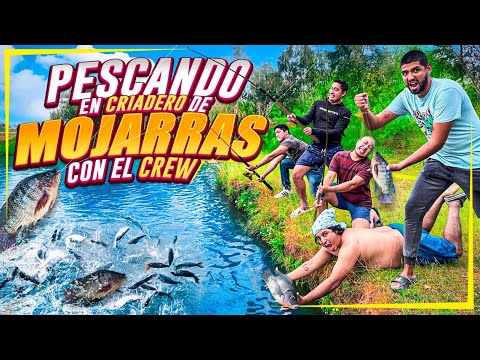 PRIMER PESCA DEL AÑO CON EL CREW  FUIMOS A UN CRIADERO DE MOJARRA 🐠