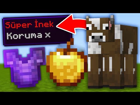 Minecraft ama İNEKLER OP!