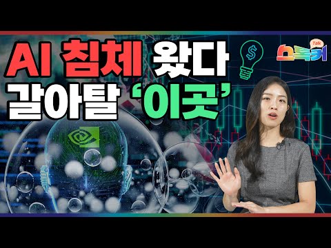 AI 버블에 폭락했던 엔비디아! 美기술주 다시 훈풍?｜월가가 주목하는 하반기 기술주(마벨테크놀로지·애플·씨게이트·델테크놀로지스·아리스타네트웍스·삼성전자·TSMC)｜스톡커 EP.35