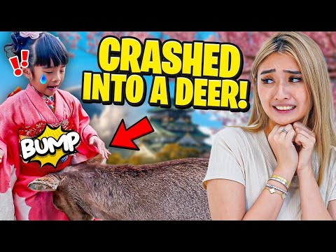 We did not want to leave Japan after this