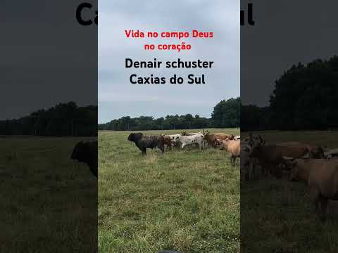 Vida no campo Deus no coração