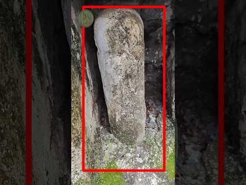 Is Mazar Me Aaj Bhi Ek Jinn Qaid Hai | Hazrat Saifullah Rifai Surat Dargah #dargah #shorts