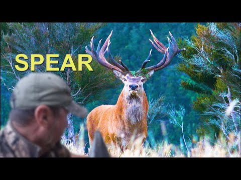 SPEAR and BLOWGUN hunting, Multiple Kill Shots.