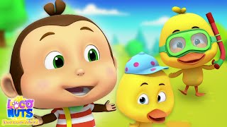 Loco Nuts ⭐ أفضل أغنية بطات للأطفال – خمس بطات بدون كلام