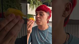 NOVO MORANGO DO AMOR 🍓