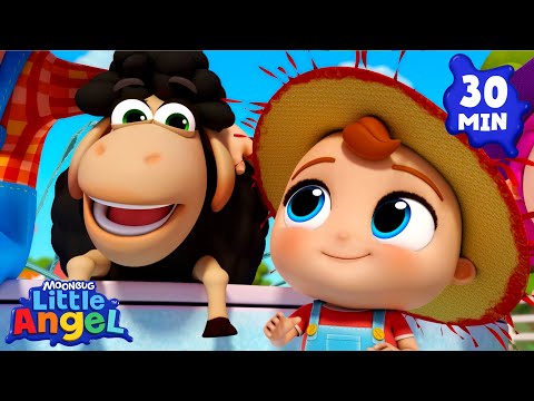 Baa Baa Black Sheep! | BEST OF Baby John’s Playtime Songs & Nursery Rhymes | Little Angel