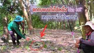 ตกกบแบบไม่ต้องใช้เหยื่อ พึ่งลองใช้ครั้งแรกได้ผล 80% 😅😅