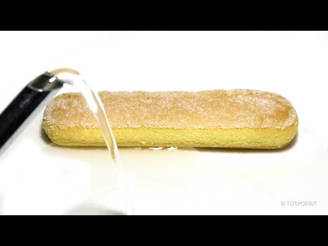 What happens to Bisquit in Water? Timelapse