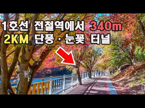 서울·경기 전철역 바로 옆. 이색적인 단풍·눈꽃 터널 2km/눈내리면 반드시 가야하는 트레킹·여행/원효대사와 요석공주의 사랑이야기가 서려있는곳/