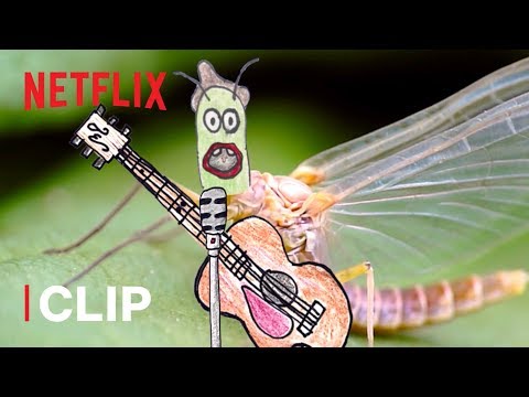 The Cycle of Life of a Mayfly 🌍 Absurd Planet | Netflix Futures