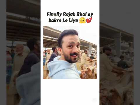 Rajab Bhai bakre Le Aaye 🤗💕 #shorts#rajabfamily#ytshorts#viral#trending#fanpage#edit