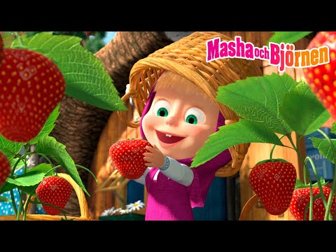 Masha och Björnen 👧🐻 Vänskapsregler 😋🍓 Ett måste att se! 🔎 Samling av avsnitt 🎬