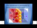 Exploring Diffusion and Osmosis Concepts