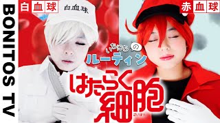 【はたらく細胞】白血球 赤血球 1日のルーティン やってみた！コスプレで実写再現！ Cosplay Cells at Work! アニメ 映画 コミック ♥ -Bonitos TV- ♥