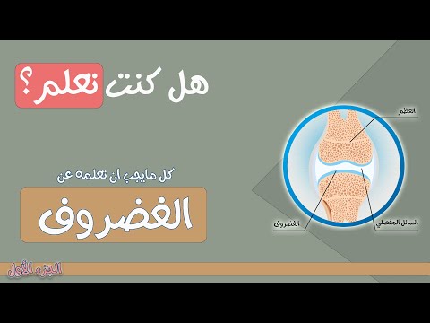 كل مايجب انه تعلمه عن الغضروف و انواعه ! الفرق بين تمزق الغضروف و تآكله. الجزء الأول