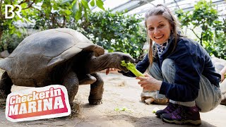Der Tierpark-Check | Reportage für Kinder | Checkerin Marina | BR