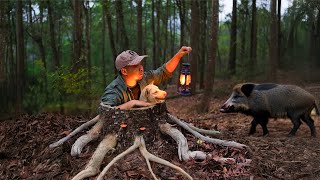 Building a Warm and Cozy Secret Shelter Under a Hollow Tree | Survival among the wild boars