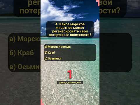Викторина о животных. Часть 19. Удивительные животные #животные #знания #угадай #нашмир #птицы