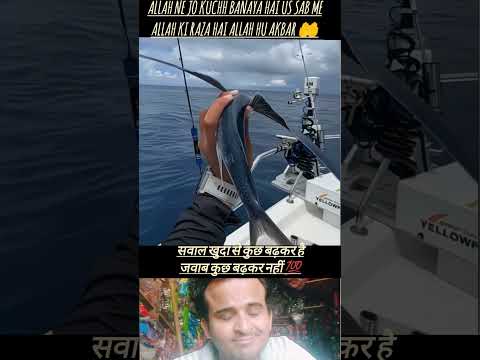 jabab mene isliyen diya hai galti na muzhse Ho beshak Allah bahut bada hai #tranding #aphalibhai