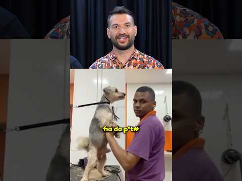 Que cachorro danado 😂😂