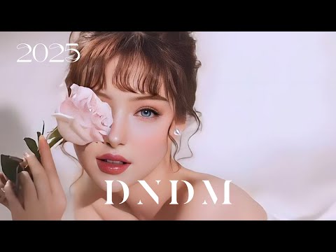 DNDM & Davvi - Te Fuiste (Original Mix) |2025 New Song|