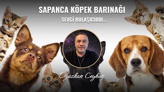 Sapanca Belediyesi Köpek Barınağı: Sevgi Bulaşıcıdır