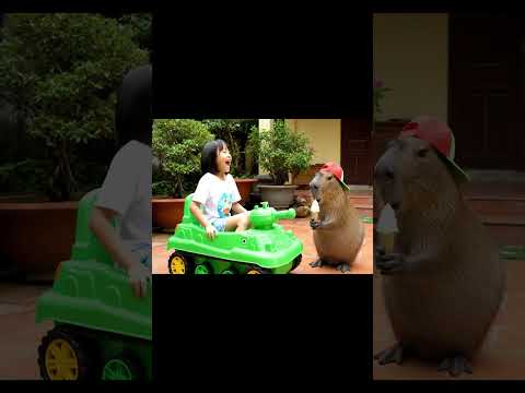 Bé rủ Capy lái xe tăng đi bắt kẻ xấu 🤣 #capybara #vuive #ongbavaboss #giaitri