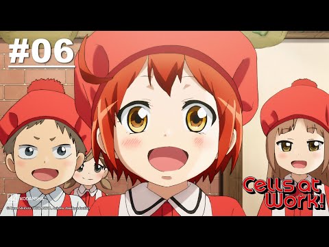 Cells at Work! - Episode 06 (S1E06) [EN Sub] | Muse IN