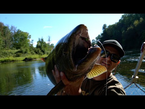 Pescando Peces Gigantes De Río