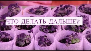 видео