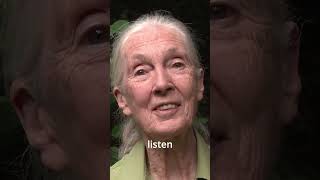 Jane Goodall: How to Pant Hoot like a Chimpanzee!