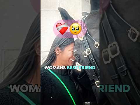 You Won’t Believe What This Woman Did To The Horse 🐎❤️‍🩹 (@ExperiencingLondon/YT)