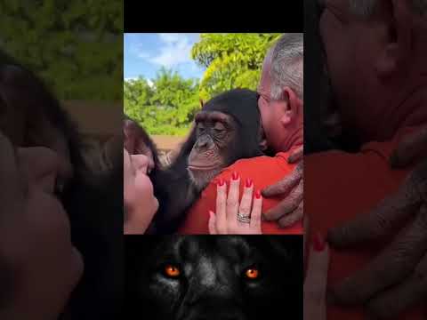 Beste Freundschaft zwischen Mensch und Tier