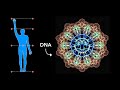 Exploring Sacred Geometry's Connection to DNA
