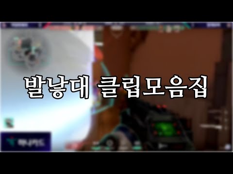 발낳대 클립 모음집